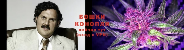 гидропоника Покровск