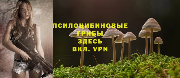 ALPHA PVP Покачи