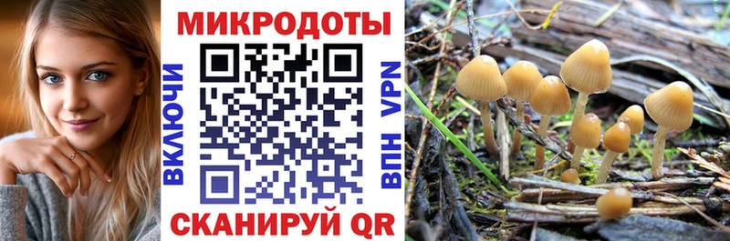 купить  цена  Усолье  Галлюциногенные грибы прущие грибы 